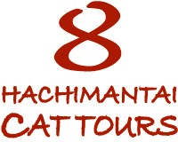 HACHIMANTAI CAT TOURS